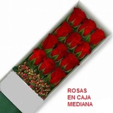 Box of 12 medium roses